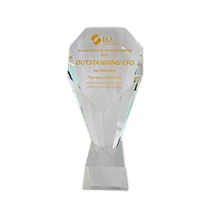 OUTSTANDING CFO IAA Awards: Awards for Listed Companies 2025