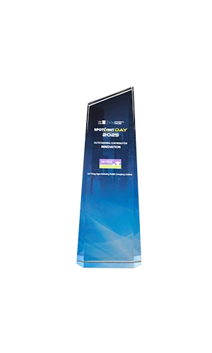 Outstanding Contributor in Innovative Company