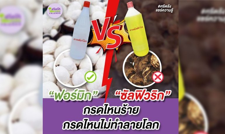 ฟอร์มิก VS ซัลฟิวริก กรดไหนร้าย กรดไหนไม่ทำลายโลก