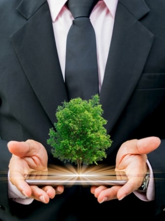 environmental-mangement