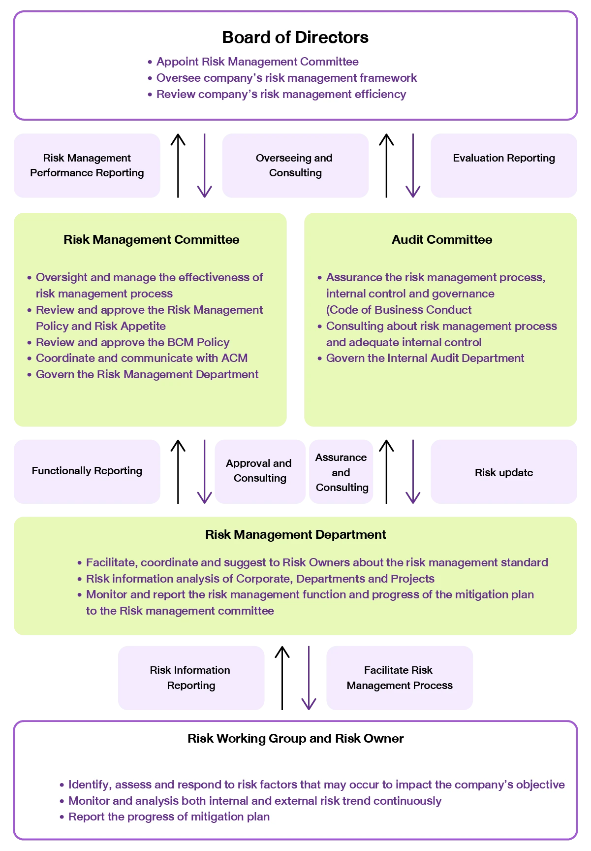Risk Management Structure