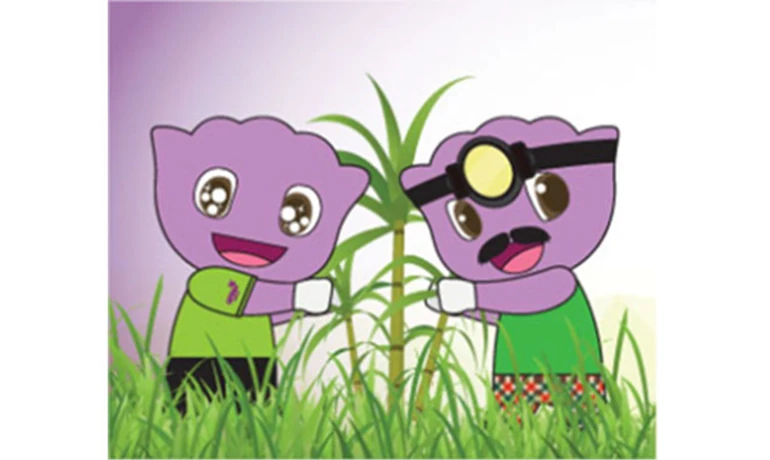 Napier Grass Energy Crop Project for the Community (Continuing Operations)